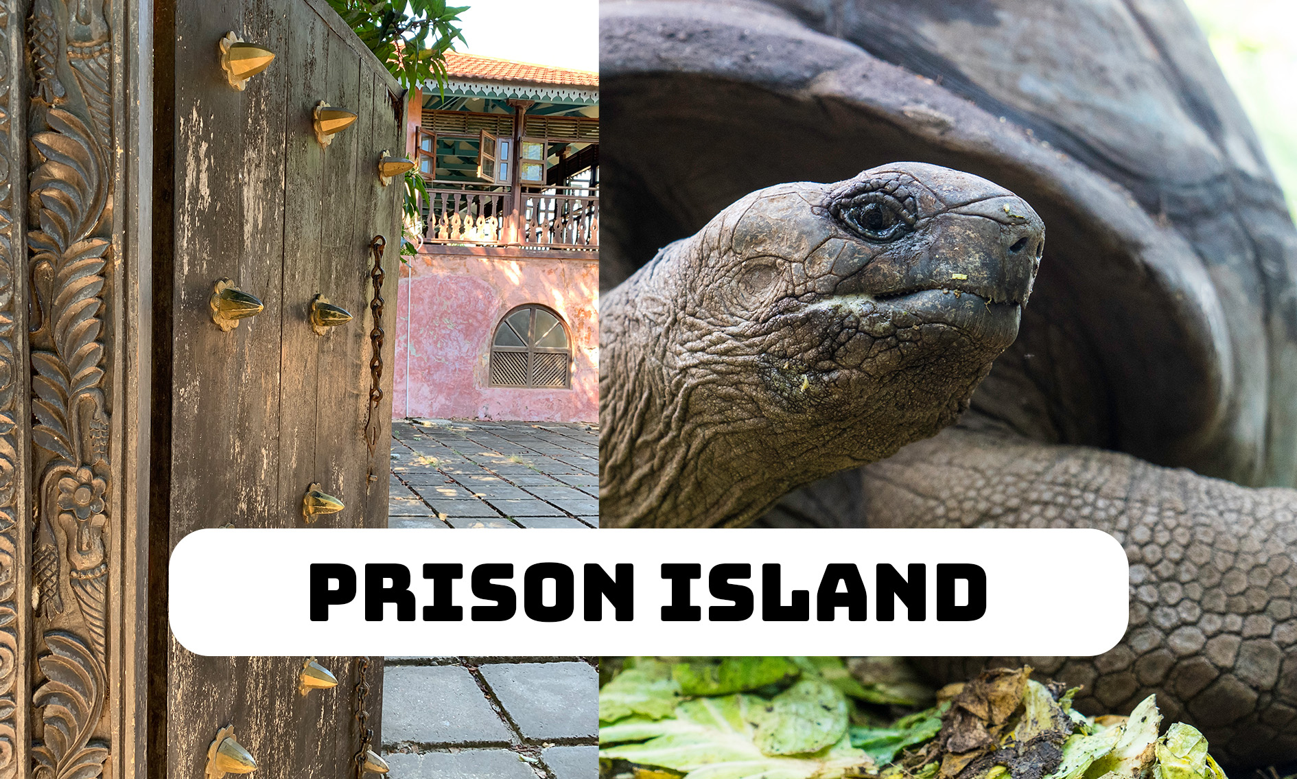 Prison Island