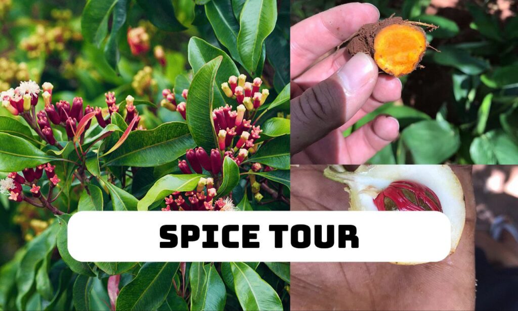 Spice Tour