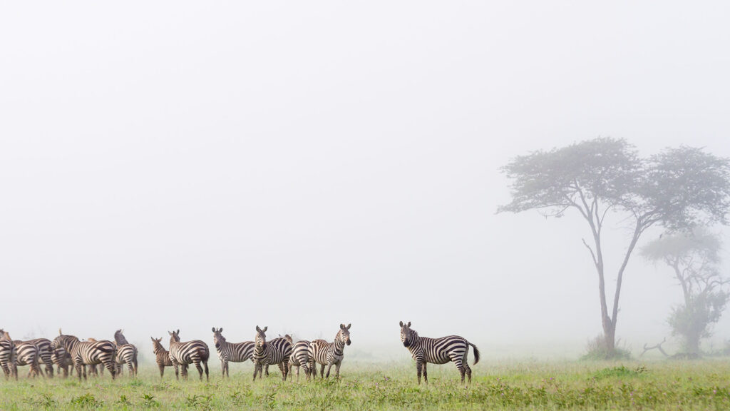 MIKUMI NATIONAL PARK TOUR