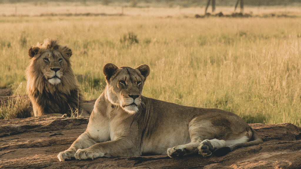 Serengeti National Park